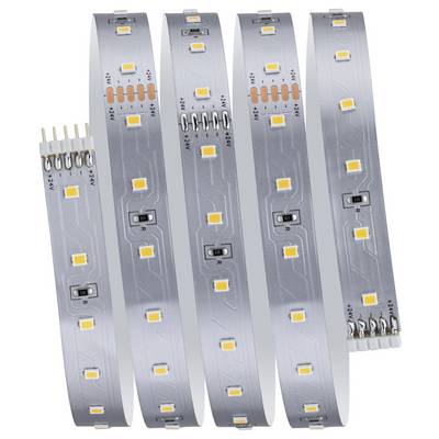 Paulmann MaxLED 500 71232 Ruban LED (Base) avec connecteur mâle 230 V, 24 V/DC 1.5 m blanc chaud 1 set-2