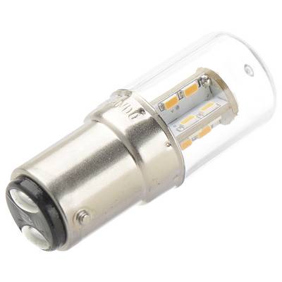 Ampoule LED avec base métallique et couvercle en plastique transparent, montrant les LED internes.