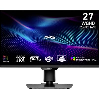 Un écran d'ordinateur affichant des caractéristiques techniques : écran de 27 pouces, résolution WQHD 2560x1440, dalle VA rapide, 300 Hz, temps de réponse de 0,5 ms, DisplayHDR 1000.