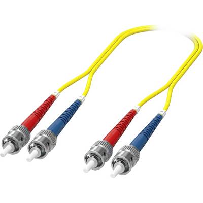 Deux câbles à fibre optique jaunes munis de connecteurs rouges et bleus, utilisés pour le transfert de données à haute vitesse, sont présentés sur un fond neutre.