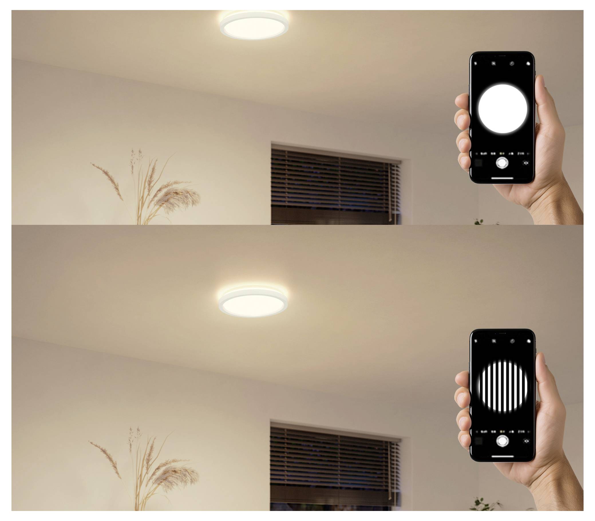 Une main tient un smartphone affichant différents réglages d'éclairage, contrôlant un plafonnier dans une pièce avec une plante et une fenêtre en arrière-plan.