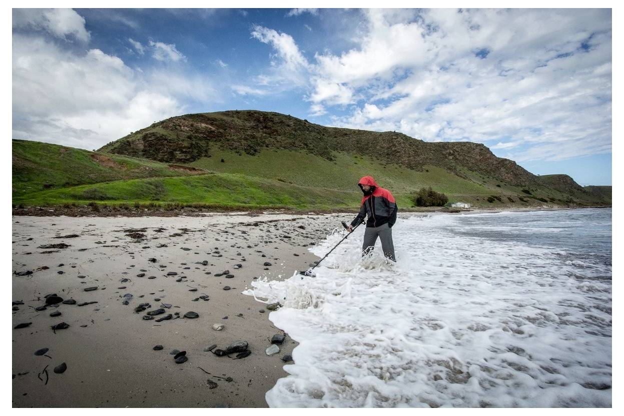 Une personne portant des vêtements de plein air utilise un détecteur de métaux sur une plage sableuse, avec des vagues atteignant le rivage et des collines herbeuses sous un ciel partiellement nuageux.