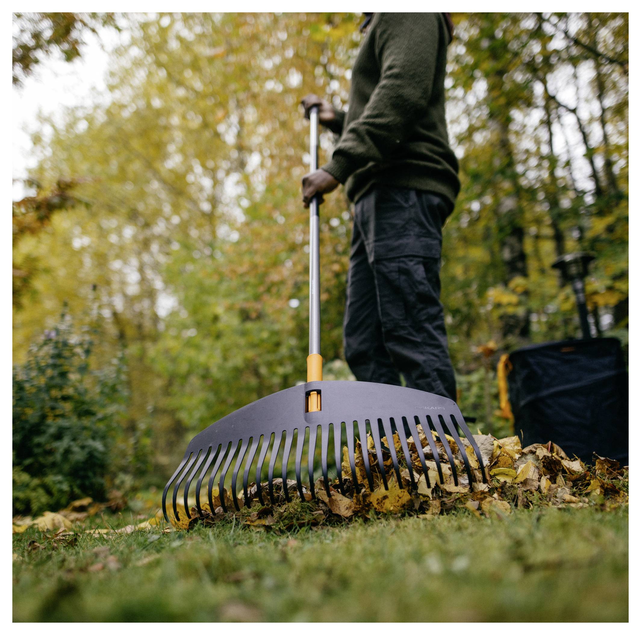 Une personne ratissant des feuilles avec un grand râteau métallique dans un parc durant l'automne, entourée d'arbres aux feuilles jaunes, indiquant un nettoyage de saison.
