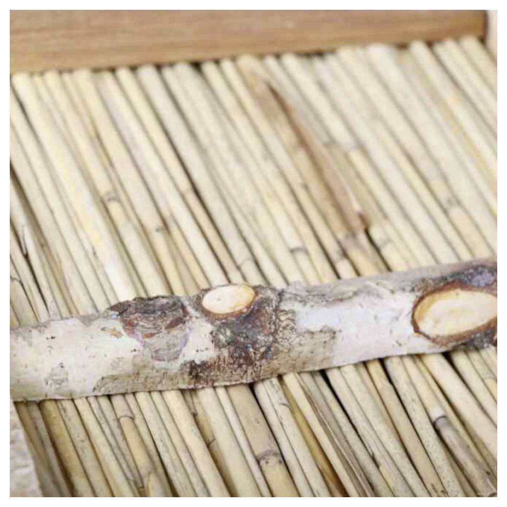 Un gros plan sur une clôture en bois composée de bâtons verticaux de bambou, soutenus par une branche horizontale.