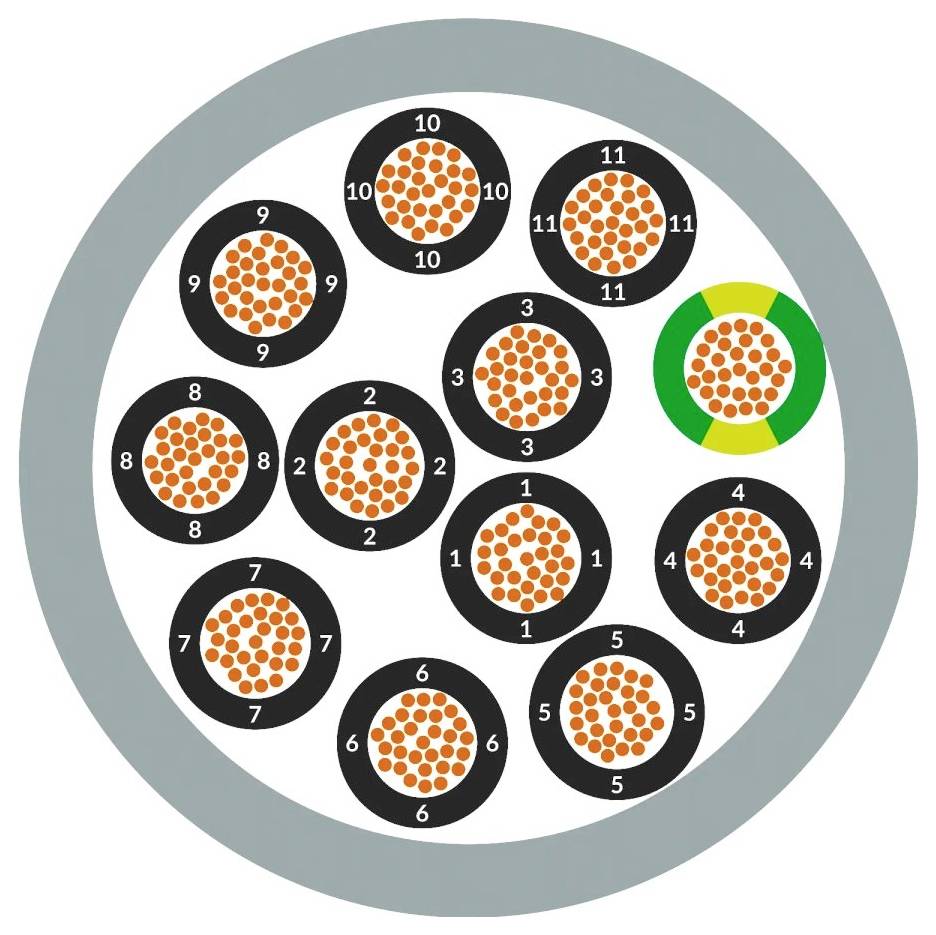 Coupe transversale d'un câble rond montrant 13 fils individuellement numérotés, un fil mis en évidence en vert et jaune, indiquant le fil de terre/masse.