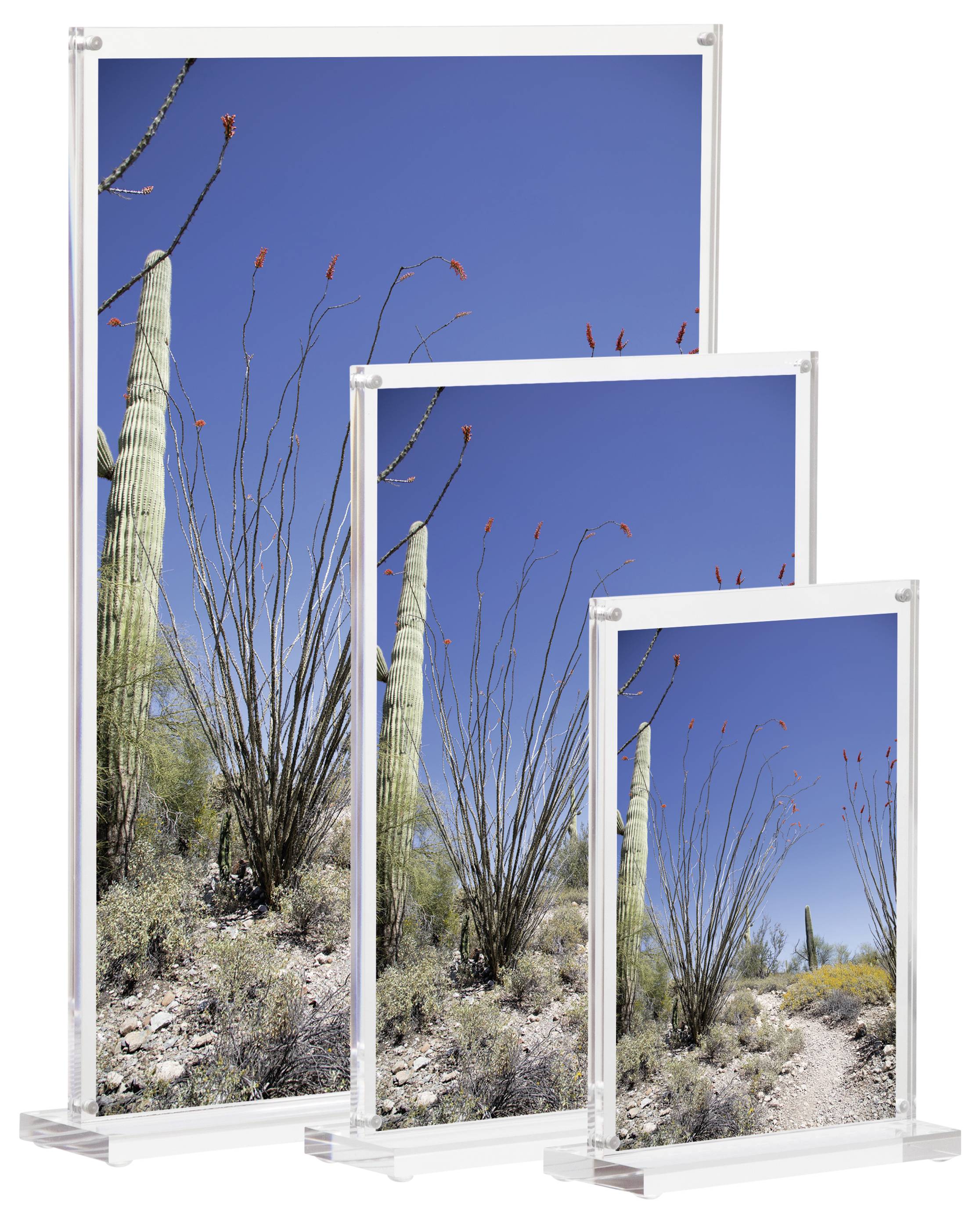 Maul 1948405 MAULvision Présentoir de table forme de T Utilisation pour format de papier: DIN A4 transparent 1 pc(s)-5