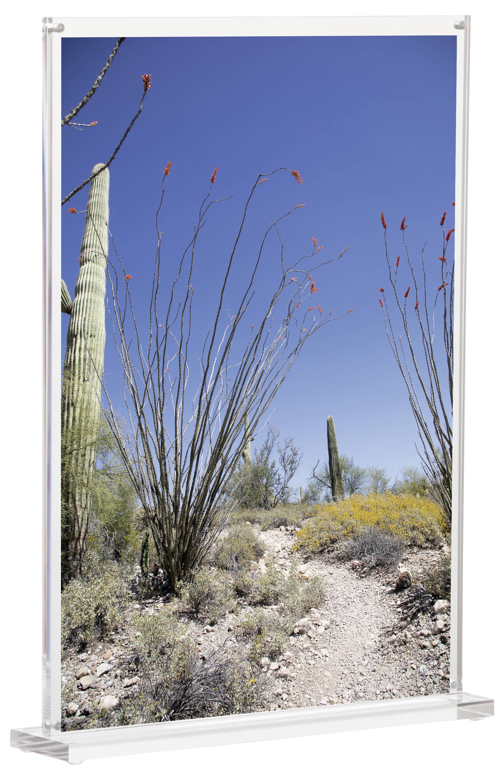 Maul 1948405 MAULvision Présentoir de table forme de T Utilisation pour format de papier: DIN A4 transparent 1 pc(s)-13