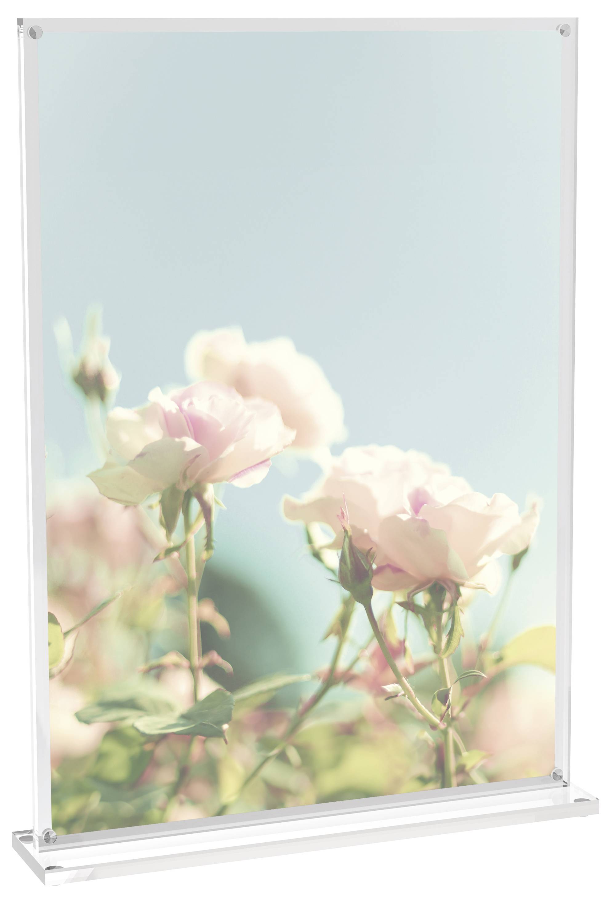 Maul 1948405 MAULvision Présentoir de table forme de T Utilisation pour format de papier: DIN A4 transparent 1 pc(s)-14