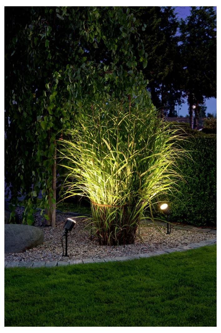 Scène de jardin extérieur au crépuscule, montrant un éclairage paysager illuminant l'herbe haute et les plantes environnantes, créant une ambiance chaleureuse.