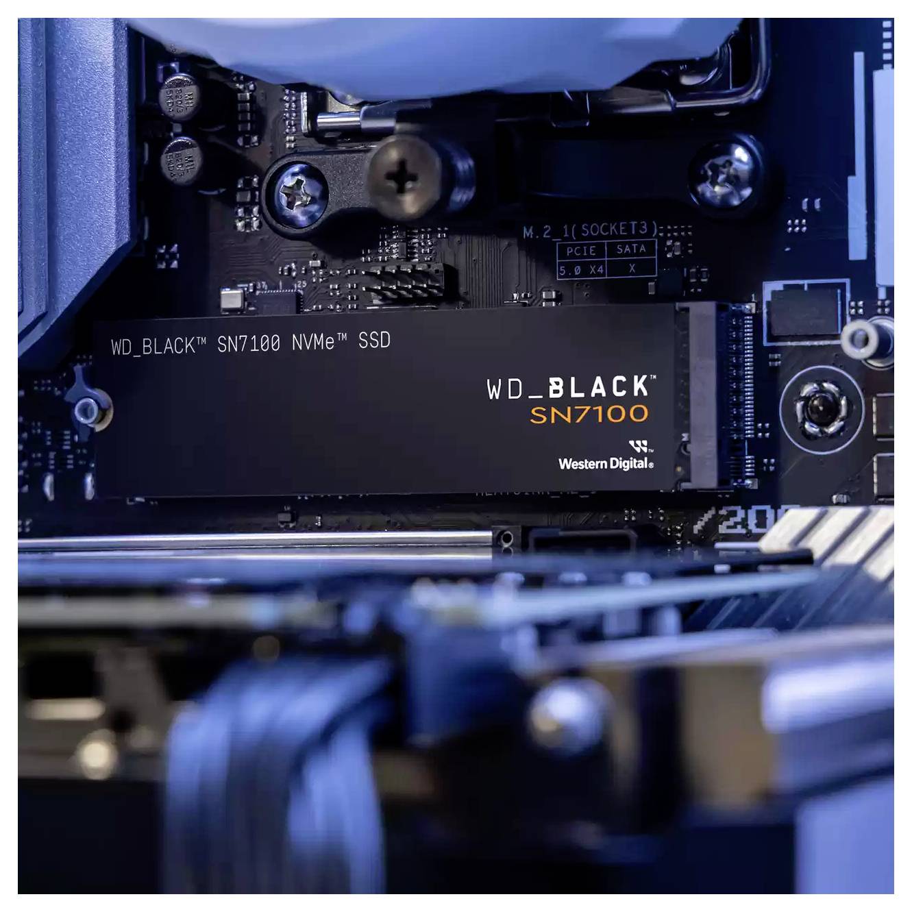 Gros plan d'un SSD NVMe WD_BLACK SN7100 installé sur une carte mère d'ordinateur, mettant en valeur son design et sa connexion.