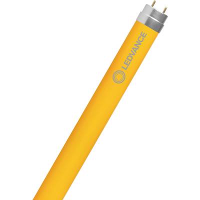 Un tube lumineux LED orange, positionné en diagonale, avec le nom de marque 'LEDVANCE' imprimé près de l'extrémité en lettres grises.