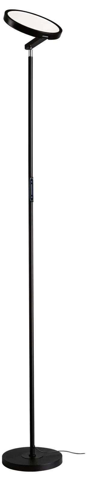 Une lampe sur pied moderne et élancée en noir, dotée d'une tête ronde ajustable, conçue pour l'éclairage intérieur.