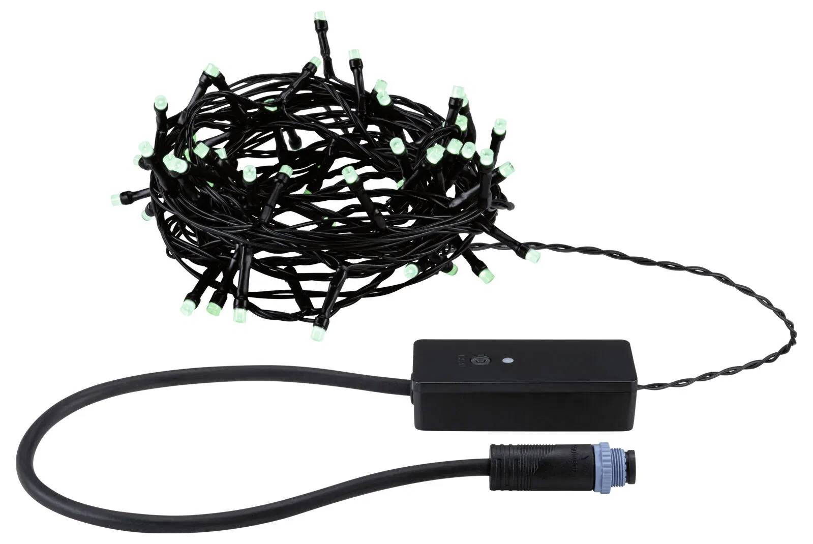Un cordon de guirlande lumineuse en LED vertes relié à un boîtier de contrôle noir avec un câble épais et un connecteur bleu.