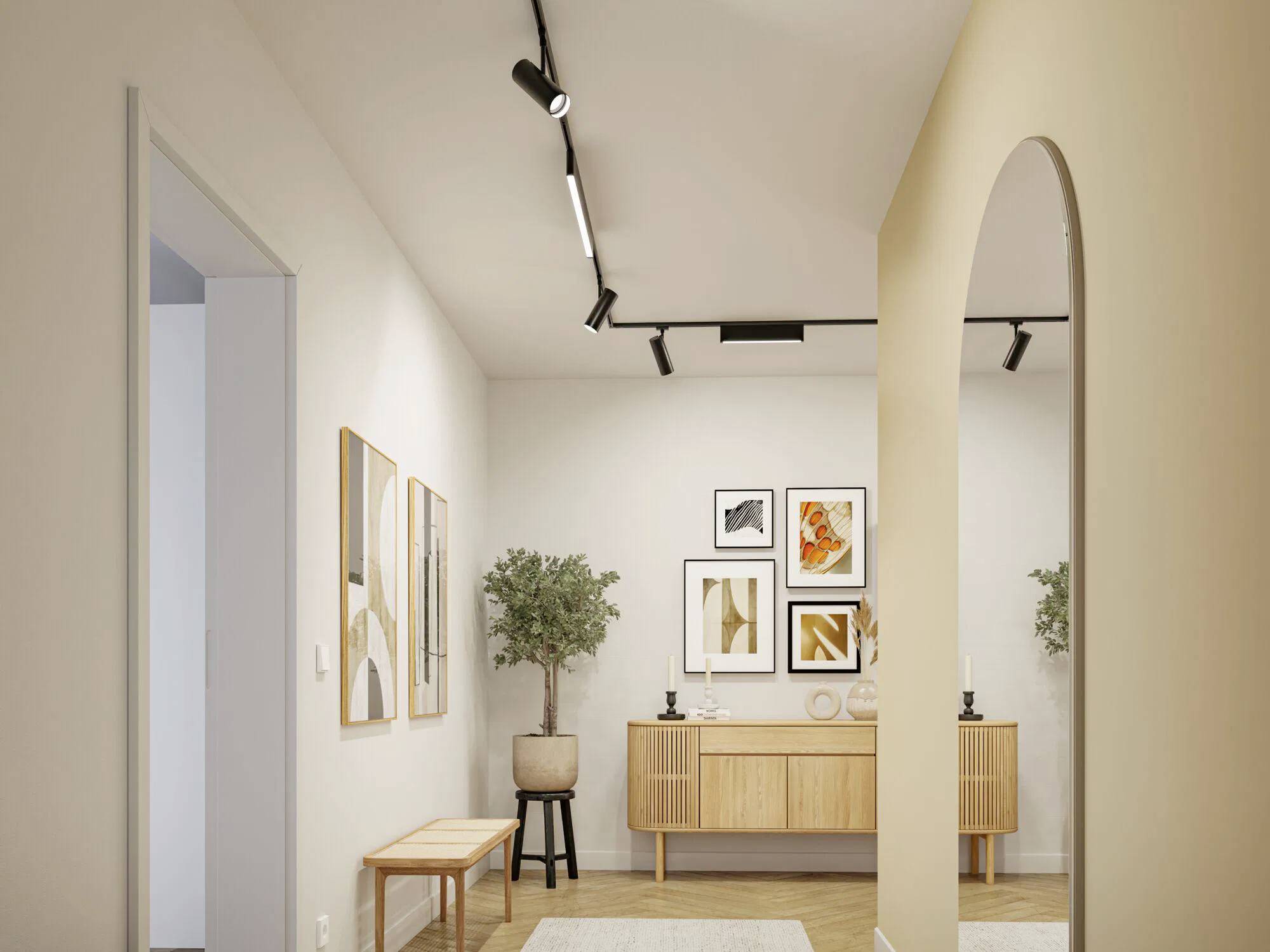 'Couloir moderne avec éclairage sur rail, mobilier en bois clair, art encadré et plantes en pot, créant une décoration chaleureuse et accueillante.'