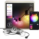Philips Hue Hue Guirlande lumineuse 929004581901 Hue Festavia Globe White and Color Ambiance LED intégrée 17.1 W multico