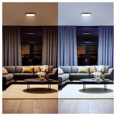 Un salon divisé en deux ambiances lumineuses : lumière chaude à gauche, lumière froide à droite, chacune mettant en valeur un canapé et une table basse.