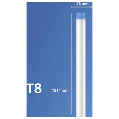 Tube fluorescent T8, longueur de 1514 mm, diamètre de 28 mm, sur fond bleu.