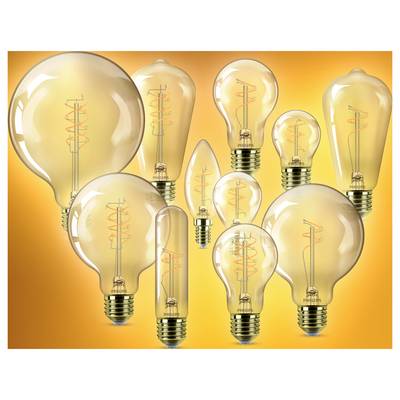 Différentes ampoules vintage avec filaments apparents sur un fond orange, présentant diverses formes et tailles.