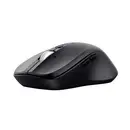 Trust Ferro Souris sans fil noir 9 Boutons 3200 dpi