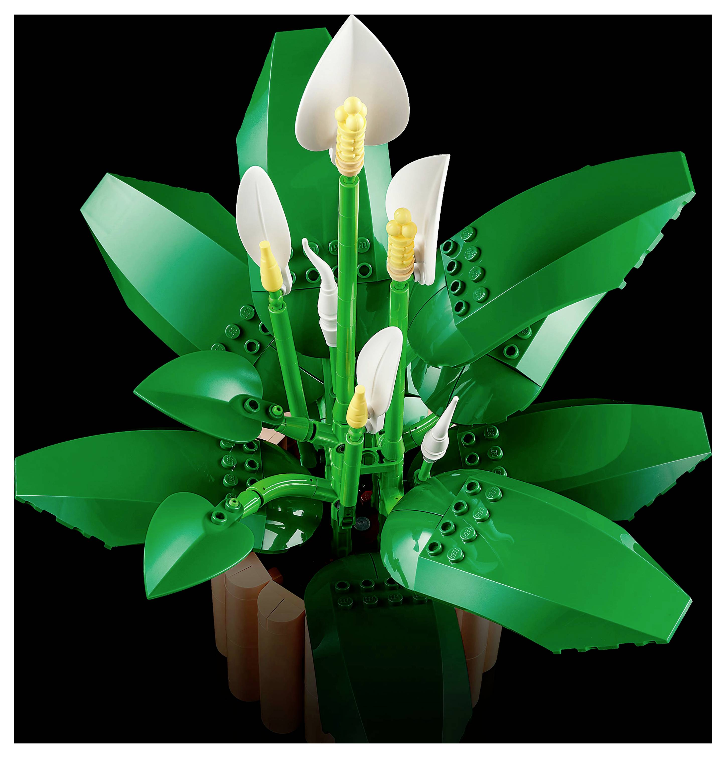 Un modèle de plante en LEGO présentant de grandes feuilles vertes et des spathes blanches aux extrémités jaunes, ressemblant à un spathiphyllum, sur un fond noir.
