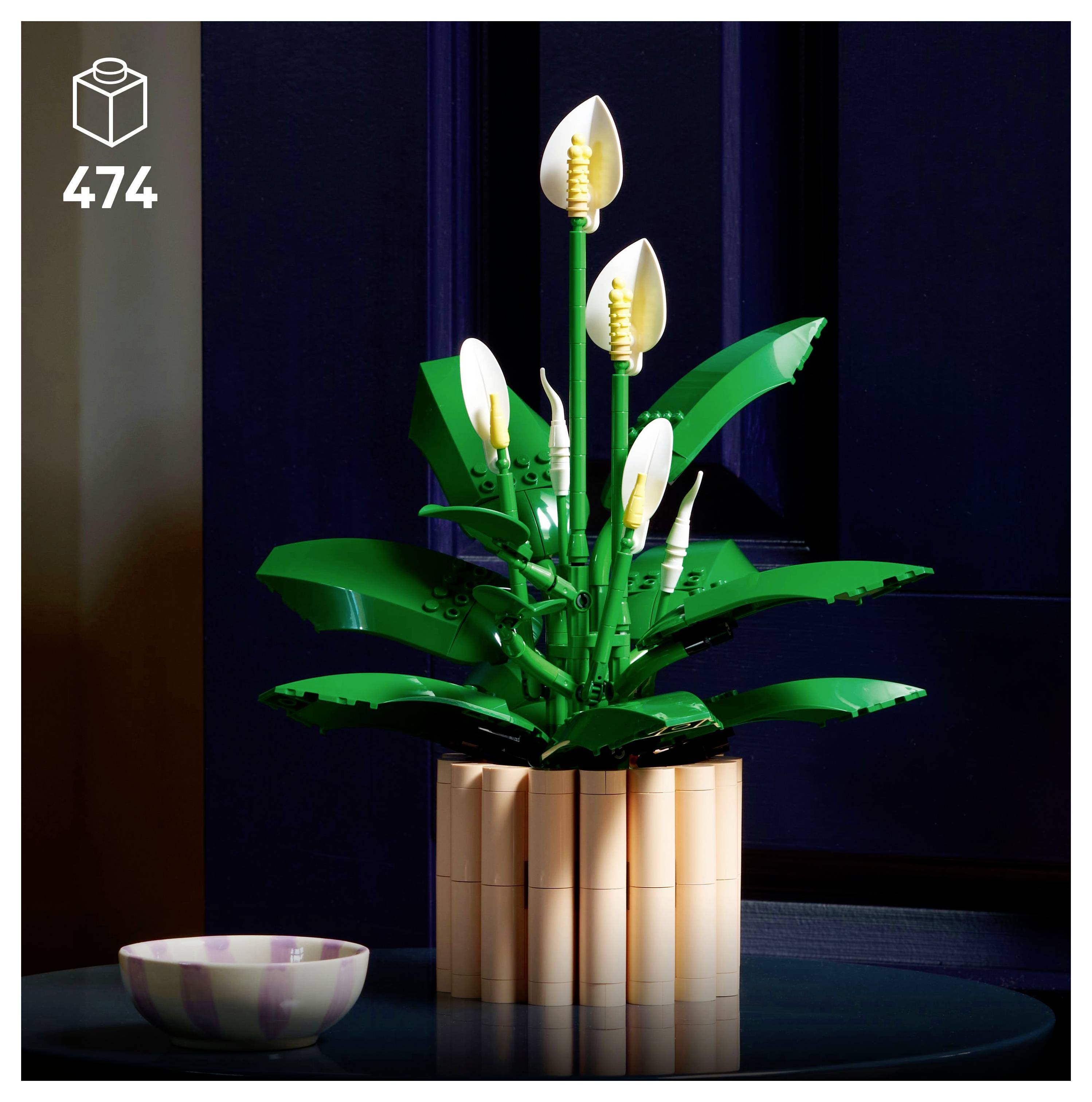 Une plante décorative en blocs posée sur une table, à côté d'un petit bol rayé, sur un fond sombre.