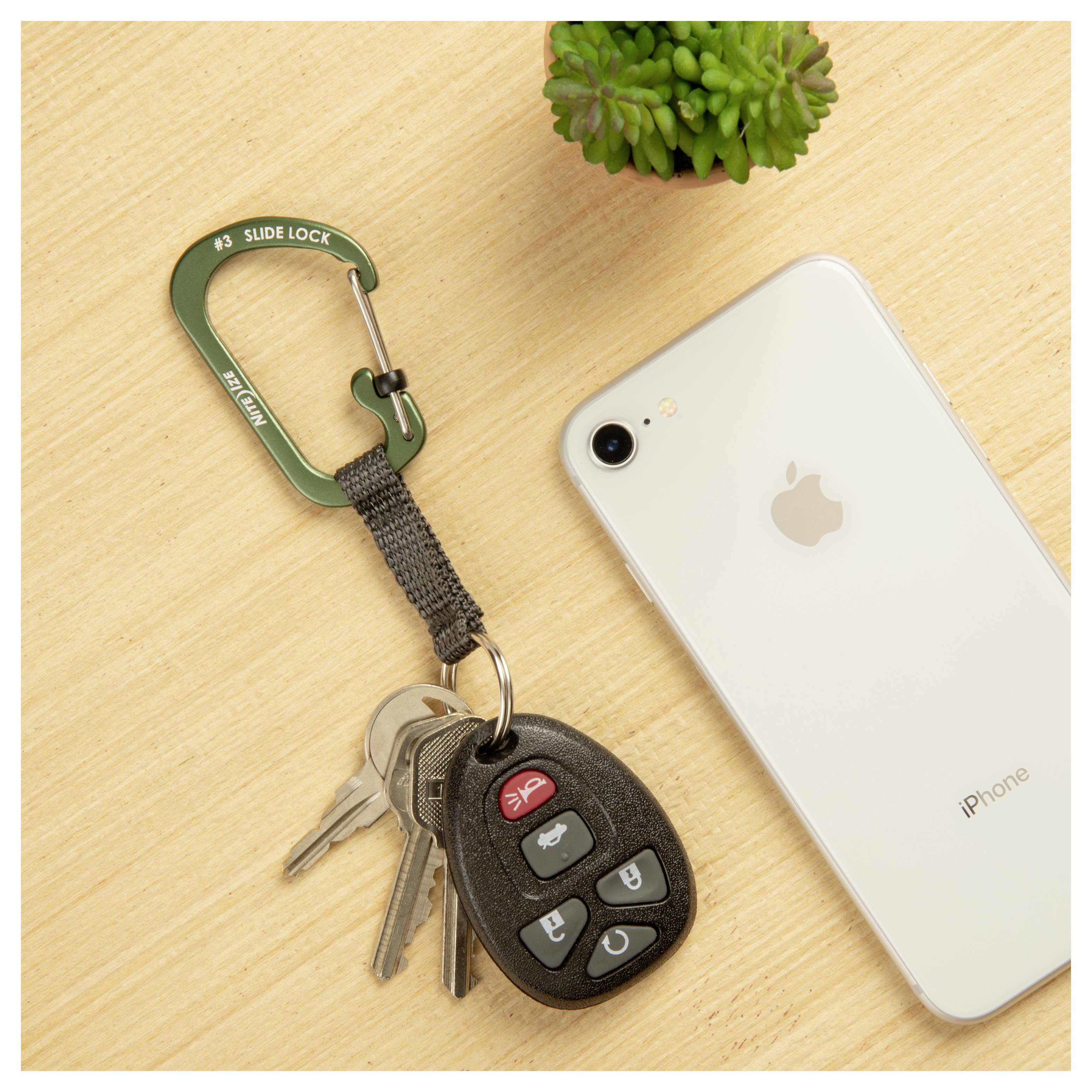 Un smartphone, des clés de voiture avec une télécommande et une petite plante sont posés sur une surface en bois.