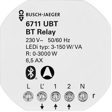 Busch-Jaeger       2CKA006710A0025  1 pc(s)