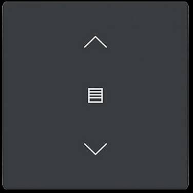 Busch-Jaeger  Cache Interrupteur pour stores  Busch-axcent  2CKA006199A0199  1 pc(s)