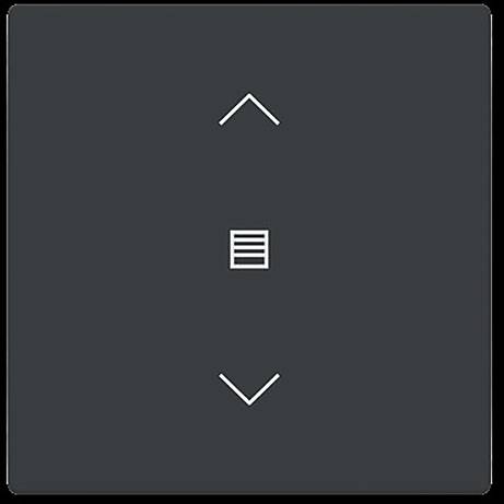 Busch-Jaeger Cache Interrupteur pour stores Busch-axcent 2CKA006199A0199 1 pc(s)-0