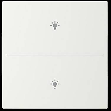Busch-Jaeger       2CKA006199A0338  1 pc(s)