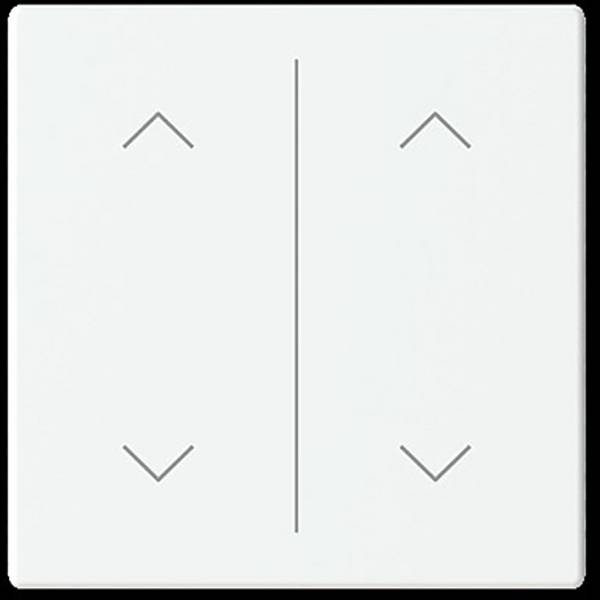 Busch-Jaeger       2CKA006199A0251  1 pc(s)