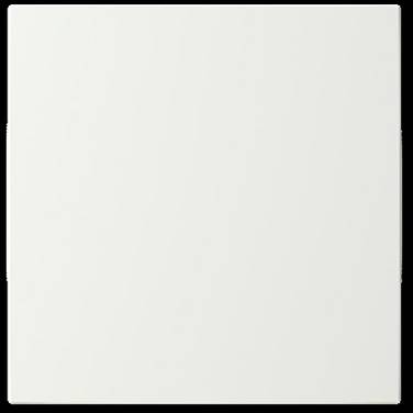 Busch-Jaeger       2CKA006199A0163  1 pc(s)