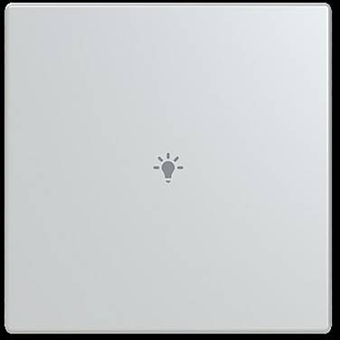 Busch-Jaeger       2CKA006199A0076  1 pc(s)
