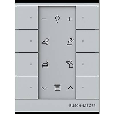 Busch-Jaeger 2CKA006220A0880 1 pc(s)-0