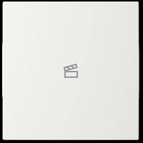 Busch-Jaeger       2CKA006199A0169  1 pc(s)