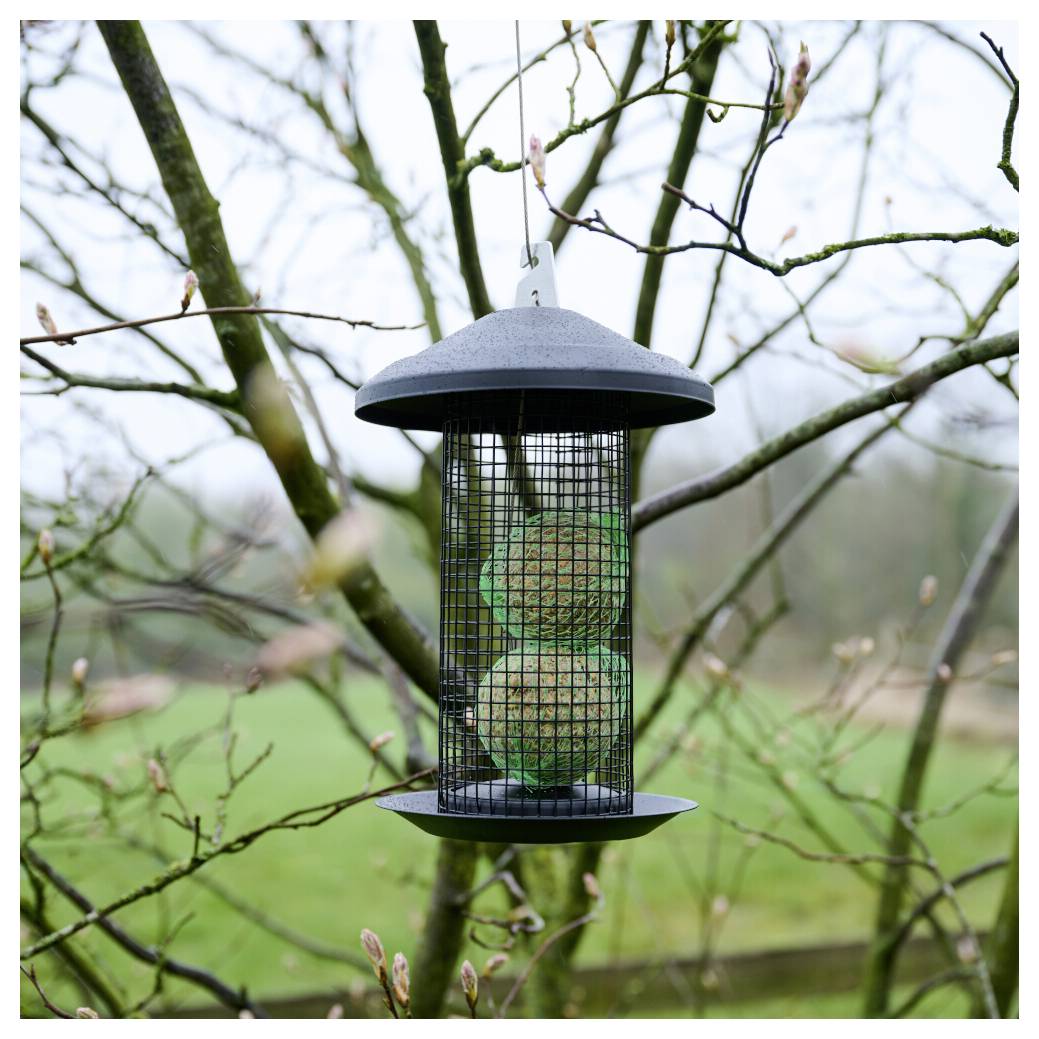 Un mangeur pour oiseaux avec des boules de suif pend d'une branche d'arbre, entouré de branches en bourgeon, dans un cadre naturel extérieur.