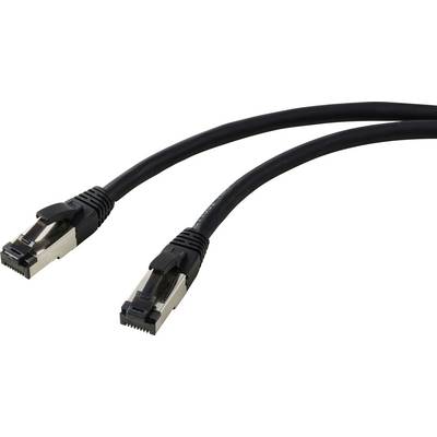 Deux câbles Ethernet noirs avec des connecteurs métalliques, utilisés pour la connectivité réseau.