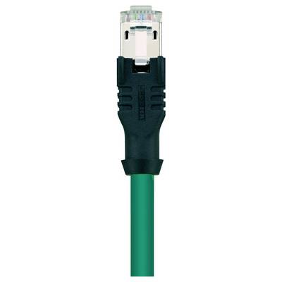 Une image en gros plan d'un câble réseau vert avec un connecteur RJ45 attaché, utilisé pour les connexions de réseau Ethernet.