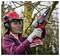 Une personne portant un équipement de protection coupe des branches d'arbre avec une tronçonneuse à batterie dans un environnement extérieur.