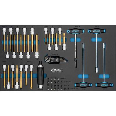 «Une boîte à outils comprenant divers tournevis, clés hexagonales et embouts, soigneusement rangés, avec la marque 'Hazet' visible sur certains outils.»