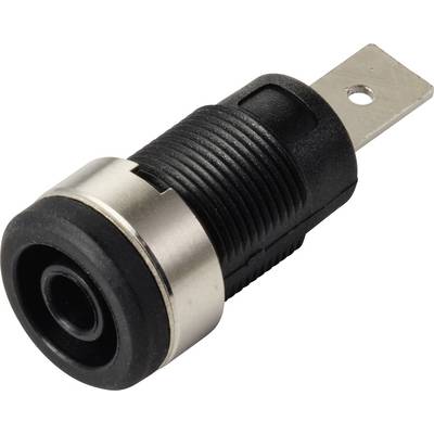 Un connecteur audio 3,5 mm avec un boîtier nervuré noir et une bague argentée, conçu pour les appareils électroniques.