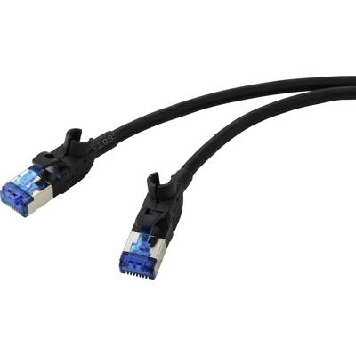 Deux câbles Ethernet noirs avec des connecteurs à embout bleu, utilisés pour les réseaux et les connexions Internet, placés sur un fond blanc.