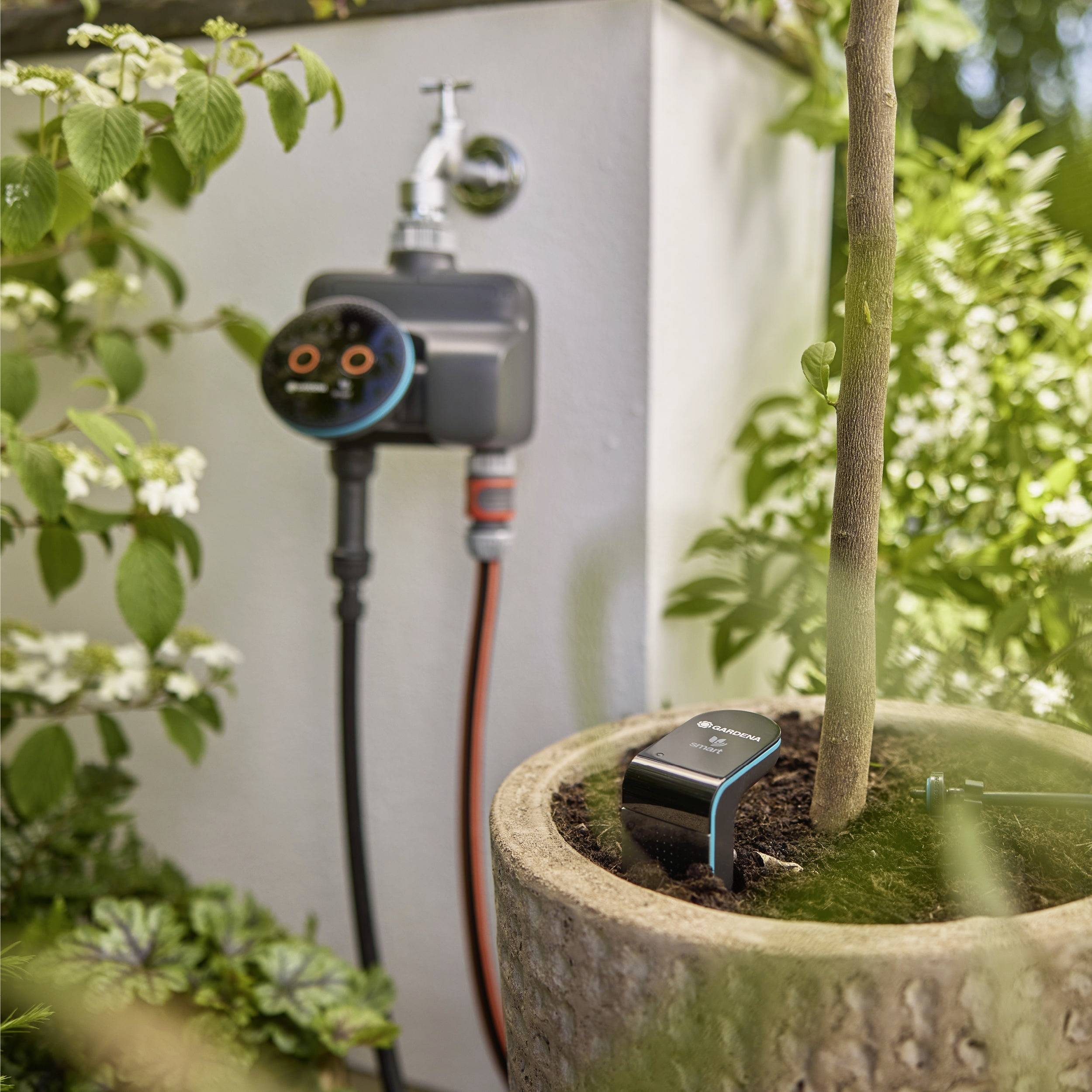 Un système d'irrigation intelligent connecté à un tuyau d'arrosage arrose un arbre en pot, illustrant une gestion efficace de l'eau.