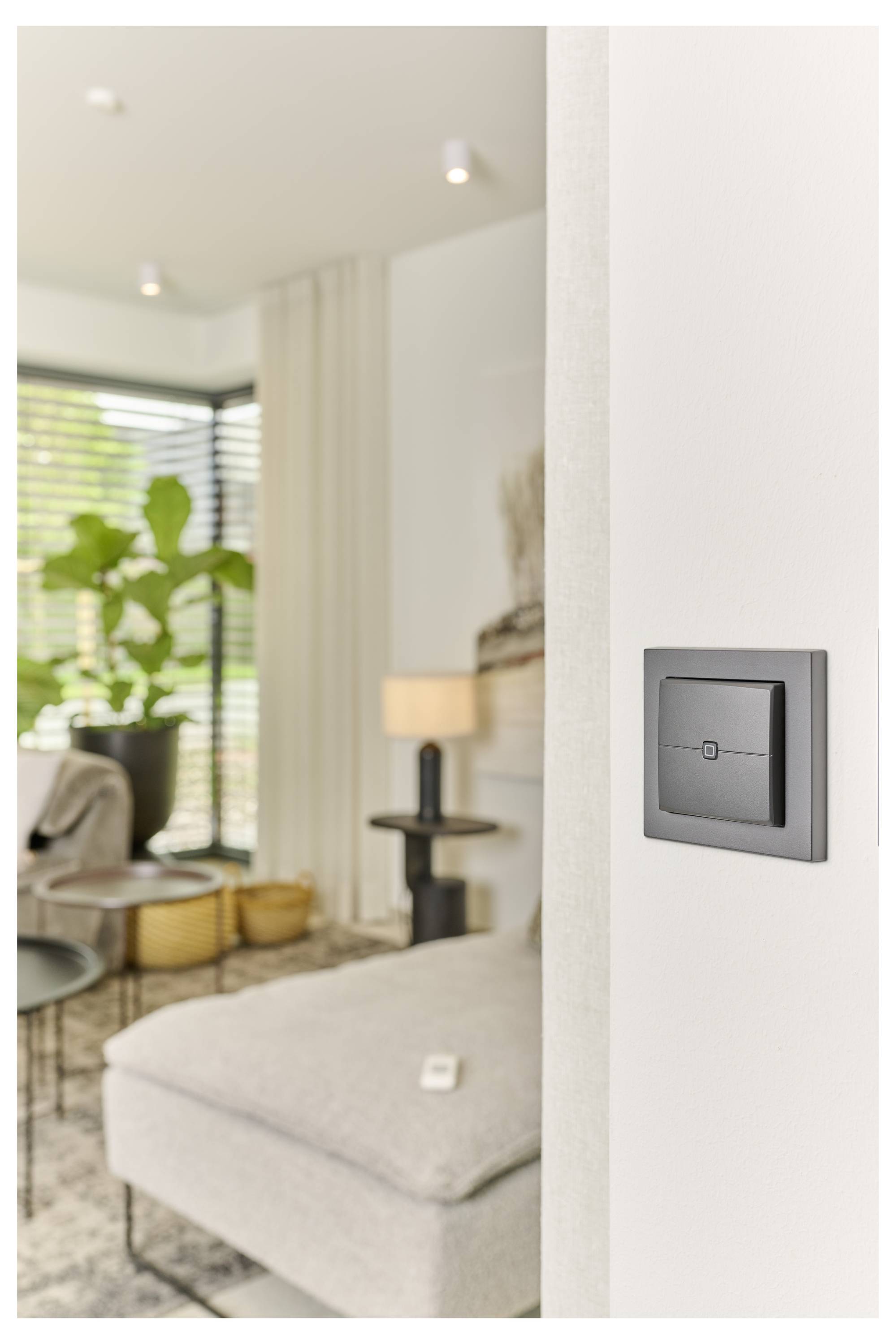 Un salon moderne et minimaliste avec un interrupteur noir sur le mur, un canapé beige et une grande plante près de fenêtres baignées de soleil.