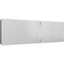 Rittal AX 1112.000 Armoire de commande 1200 x 400 x 300 acier 1 pc(s) Piece