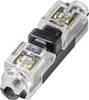 TRU COMPONENTS TC-14376148 Bloc de jonction à raccordement rapide flexible: 0.35-0.5 mm² rigide: 0.35-0.5 mm² Nombre de pôles: 1 12 pc(s) translucide, noir