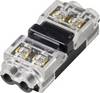 TRU COMPONENTS TC-14376156 Bloc de jonction à raccordement rapide flexible: 0.35-0.5 mm² rigide: 0.35-0.5 mm² Nombre de pôles: 2 12 pc(s) translucide, noir
