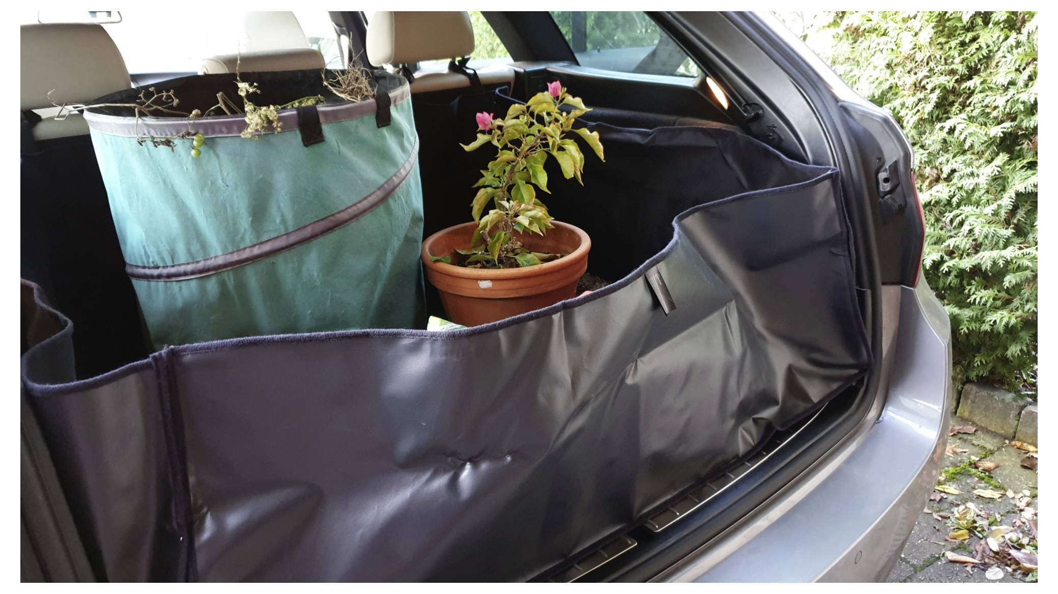 Coffre de voiture contenant une plante en pot et un grand bac en tissu vert. Le coffre est doublé d'une housse de protection noire.