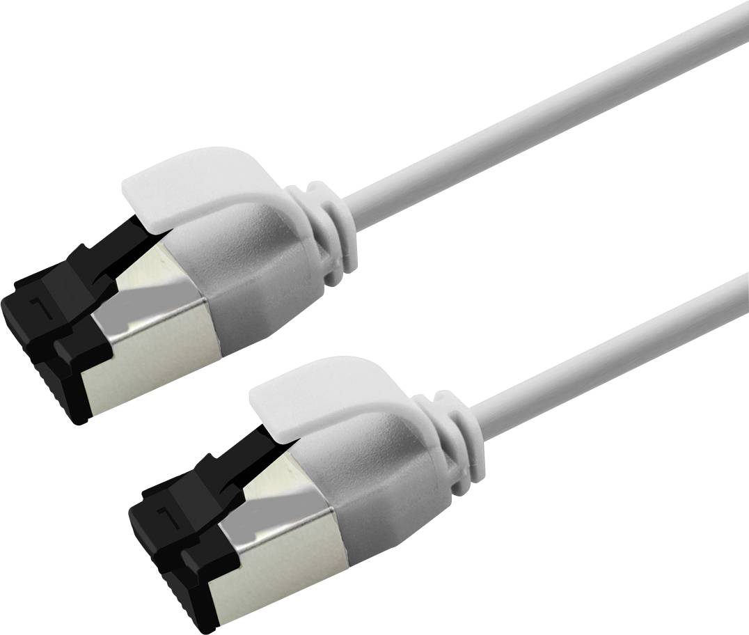Deux câbles Ethernet blancs avec connecteurs RJ45 affichés sur un fond uni.
