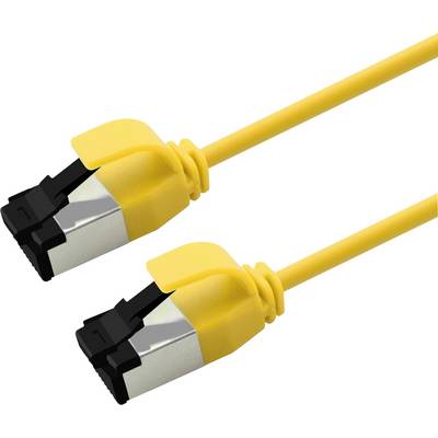 Deux câbles Ethernet jaunes avec des connecteurs RJ45 sur un fond blanc.